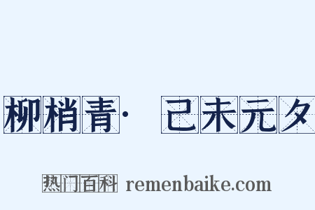 柳梢青·己未元夕是什么意思的图片
